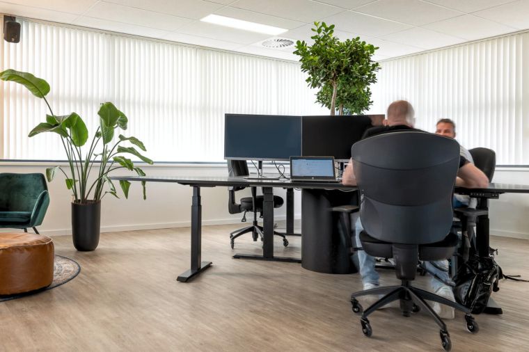 Op zoek naar een Typescript expert?